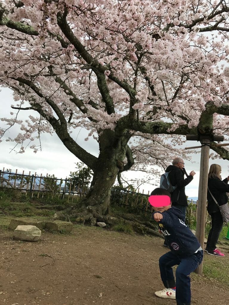 変なポーズをする長男